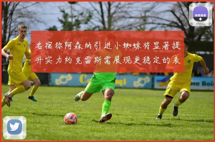 名宿称阿森纳引进小蜘蛛将显著提升实力约克雷斯需展现更稳定的表现