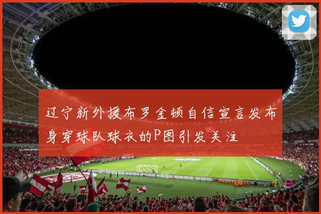 辽宁新外援布罗金顿自信宣言发布身穿球队球衣的P图引发关注