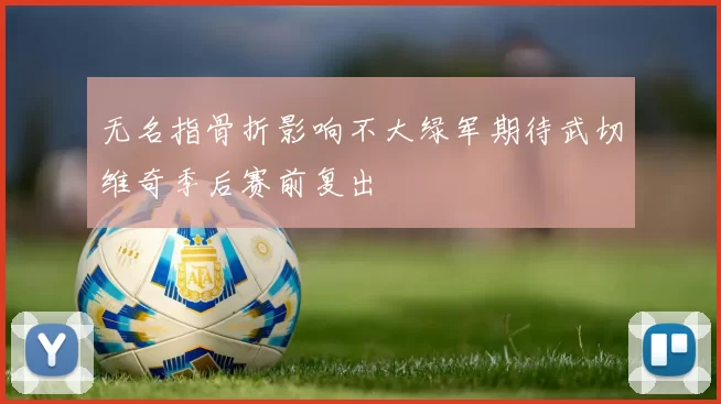 无名指骨折影响不大绿军期待武切维奇季后赛前复出