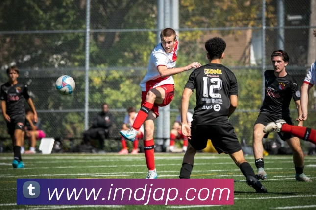 IM电竞App平台生态图