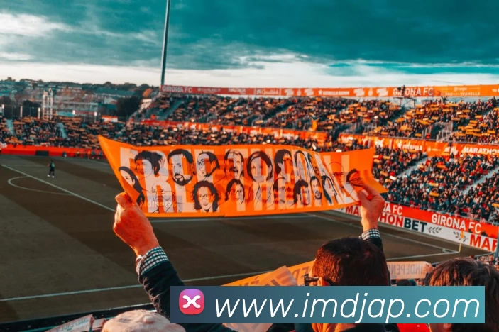 IM电竞AppAPP 封面图